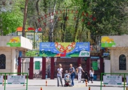 По подозрению в хищении 32 миллионов тенге арестована бухгалтер зоопарка Алматы