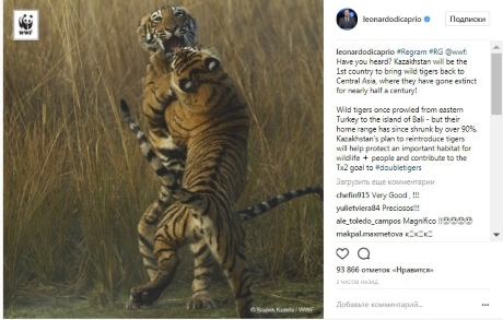 Ди Каприо прокомментировал инициативу Казахстана по возвращению тигра в ЦА