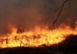 Пожар в Актюбинской области: погибли еще два человека