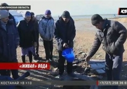 В Акмолинской области жители вынуждены пить воду с лягушками