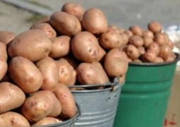 Резкий рост цен на картофель до 300 тенге за килограмм ожидается в Казахстане 