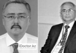 Минздрав: Два профессора погибли при крушении самолета под Алматы