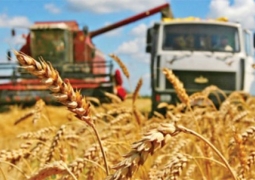 В Северном Казахстане завершена уборка зерна