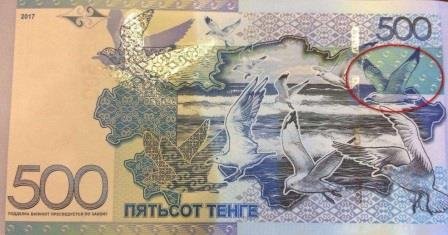 Ещё один фотограф заявил о своих правах на изображение чайки на банкноте в 500 тенге