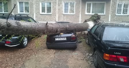 Упавший кран и разбитые стекла: ураган достиг Петропавловска