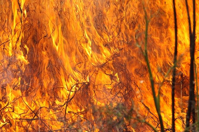 В четырех областях Казахстана тушат степные пожары