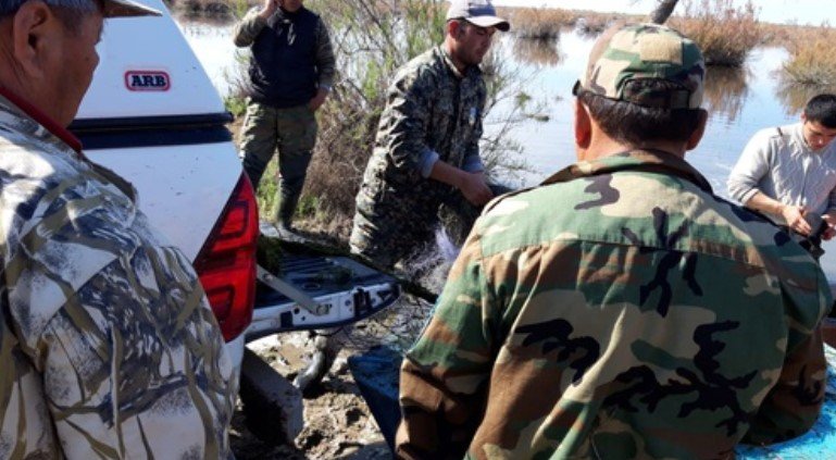 МВД доказало причастие к браконьерству сотрудников "Охотзоопрома"
