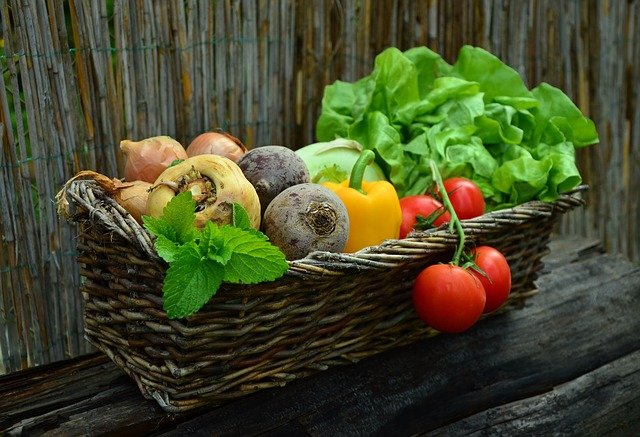 Более 60 тонн зараженных овощей и фруктов запретили ввозить в Казахстан 