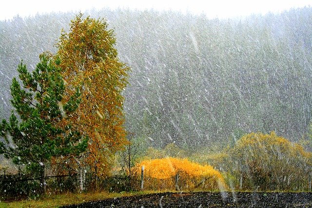 Прогноз погоды на 9 ноября: в Казахстане местами ожидаются осадки, метель и гололёд