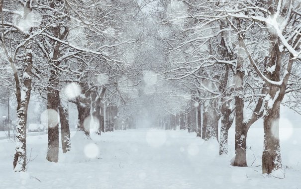 Почти во всех городах Казахстана пройдёт снег