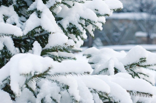 Погода в Казахстане: сегодня почти по всему Казахстану пройдёт снег