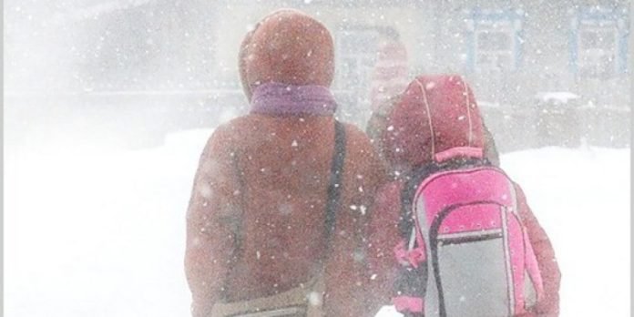 Снег, ветер, непогода: в Нур-Султане отменили занятия для второй смены 