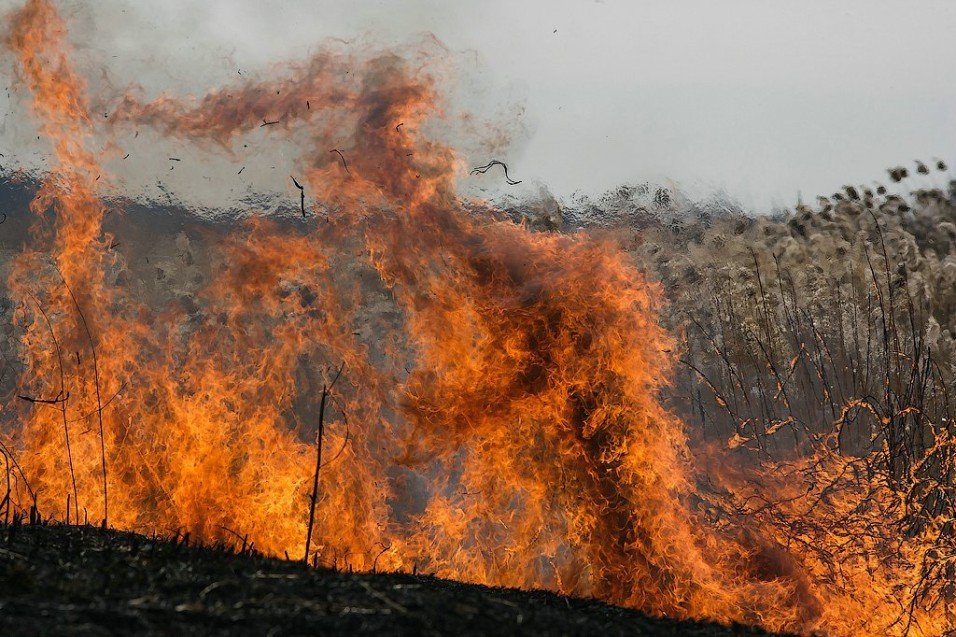 В Атырау вторые сутки тушат пожар