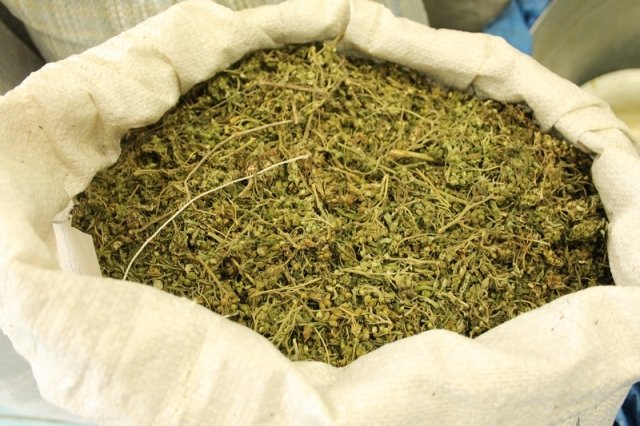 41 килограммов марихуаны изъяли у мужчины в Жамбылской области 
