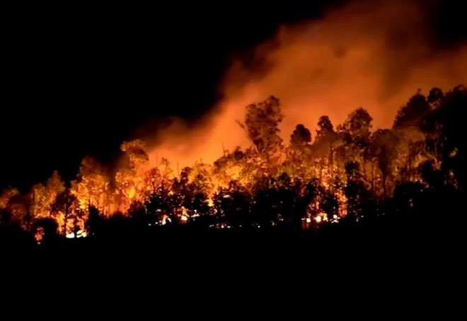 11 природных пожаров зарегистрировано в Казахстане за сутки