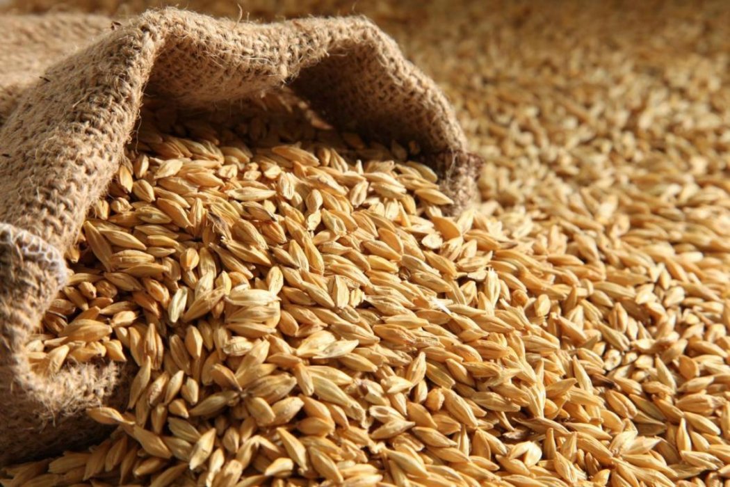 В СКО работники предприятия похитили около 60 тонн пшеницы