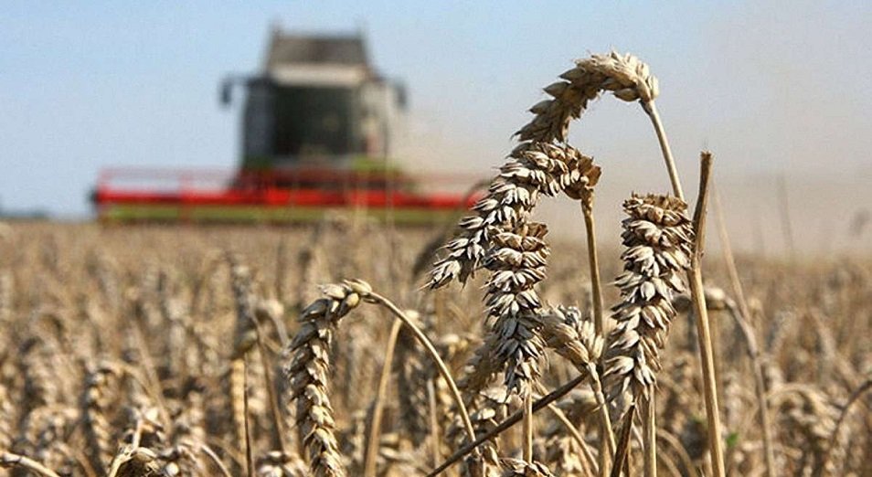 Казахстанские фермеры начали получать льготные кредиты по специальной программе 