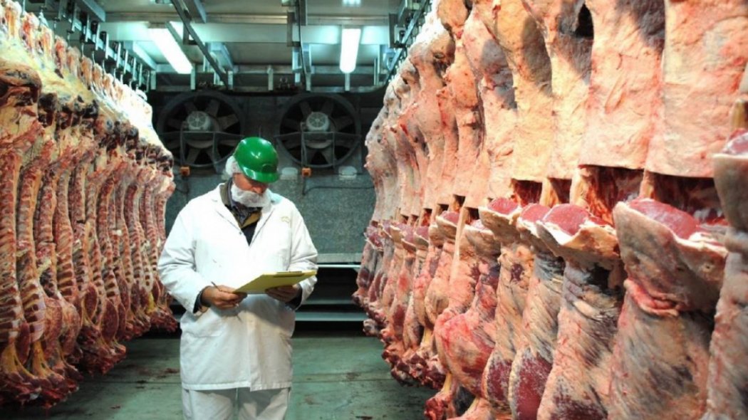 Минсельхоз планирует довести экспорт говядины до 370 млрд тенге к 2025 году
