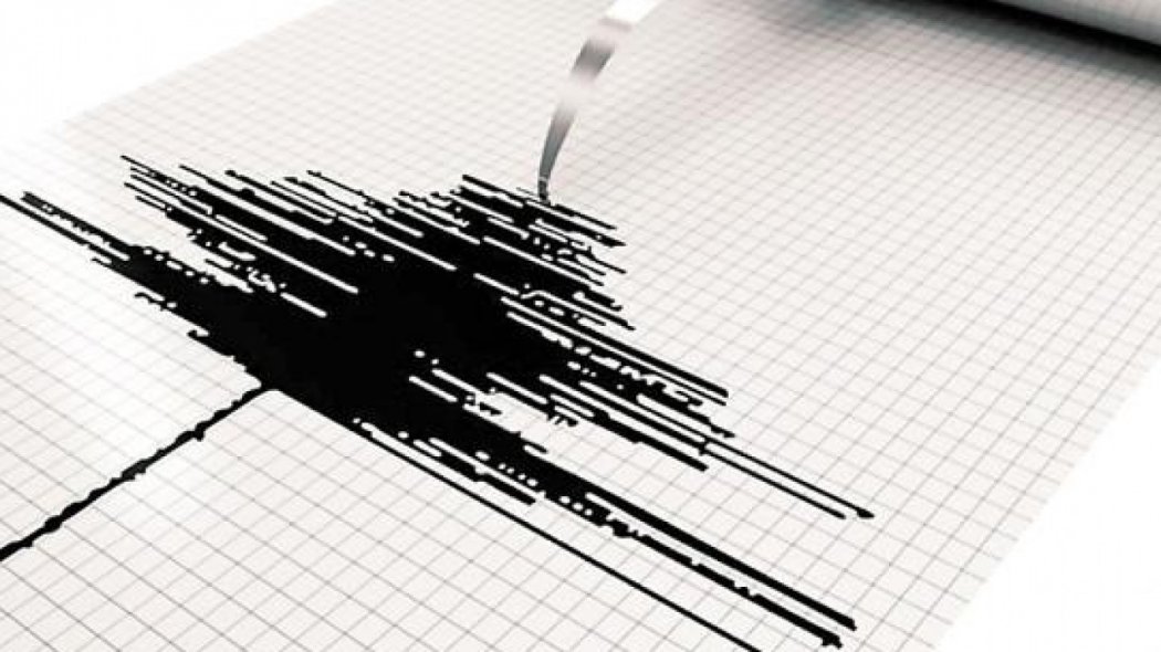 Землетрясение зафиксировали в Алматинской области 