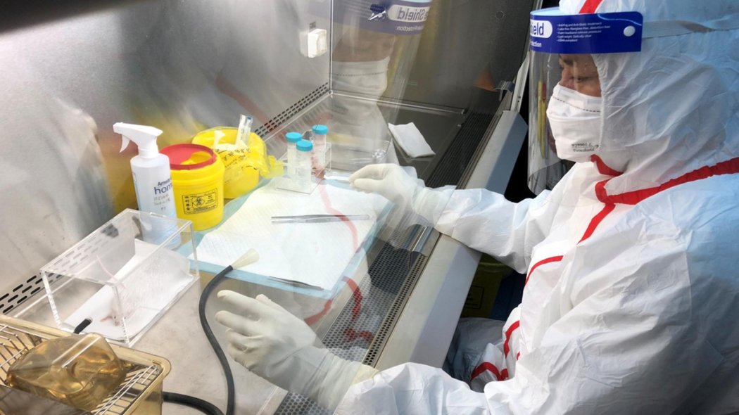 Более 20 вирусологов заразились COVID-19 в Нур-Султане 