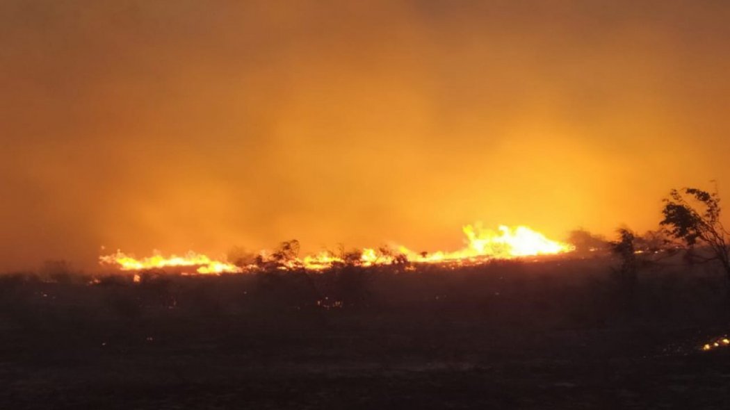 Крупный пожар произошел на границе Казахстана с Китаем