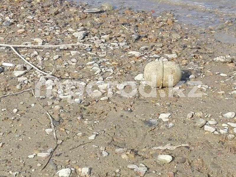 Мужчина обнаружил гранату на берегу реки в Уральске
