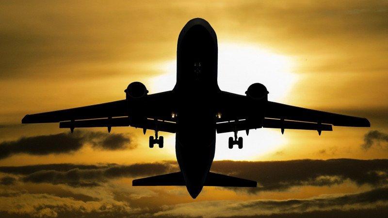 Самолет совершил вынужденную посадку в Алматы из-за столкновения с птицей