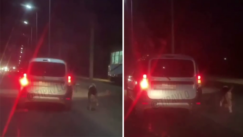 Водителя, привязавшего собаку к движущемуся авто, нашли в Павлодаре