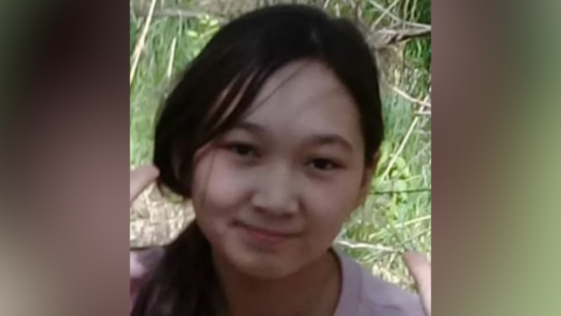 Поиски девочки в Кокшетау: заведено дело об убийстве