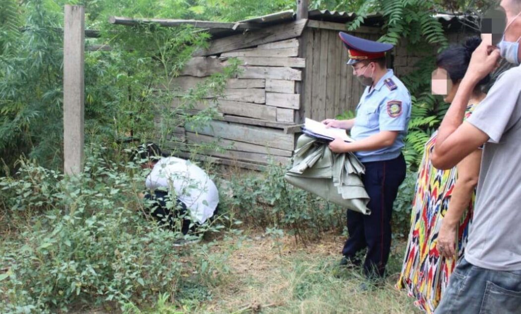 13 кустов наркосодержащего растения изъяли у жителя Туркестанской области 