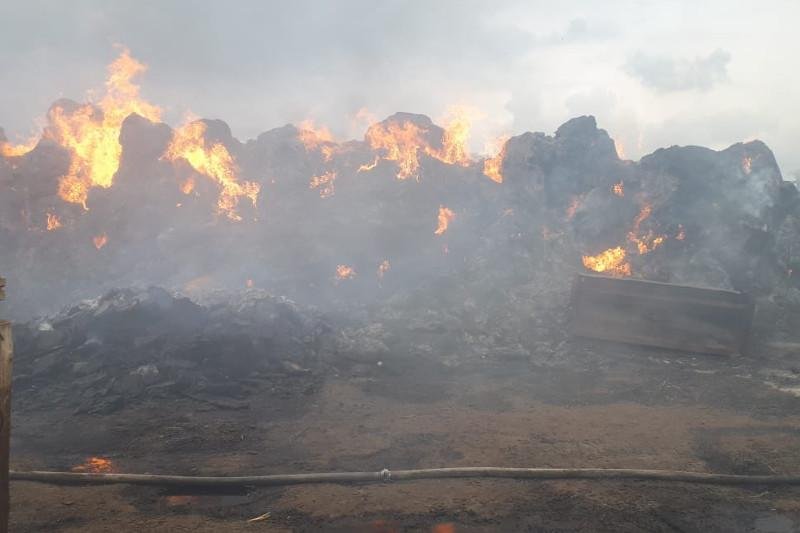 120 тонн сена сгорело в Павлодарской области  