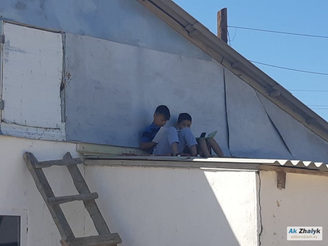 Школьники вынуждены делать домашние задания на крышах домов в Атырауской области