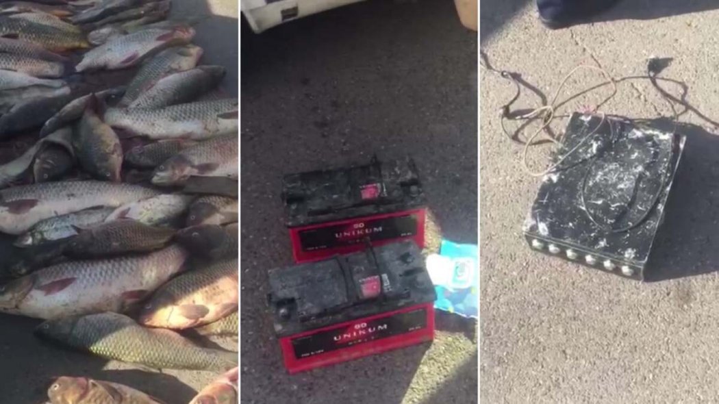 115 кг рыбы изъяли у браконьера в Алматинской области