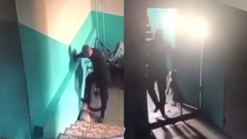 Мужчину задержали за жестокое обращение с собакой в Нур-Султане