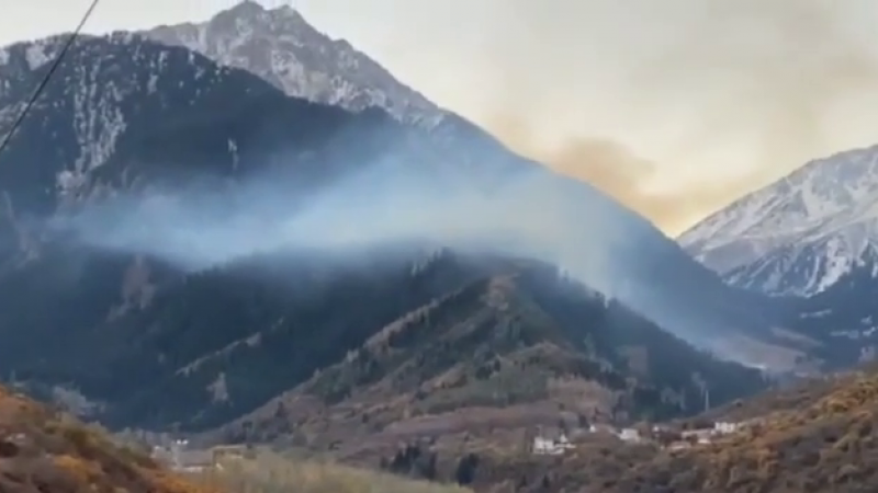 Пожар произошел в ущелье Алма-Арасан в Алматы