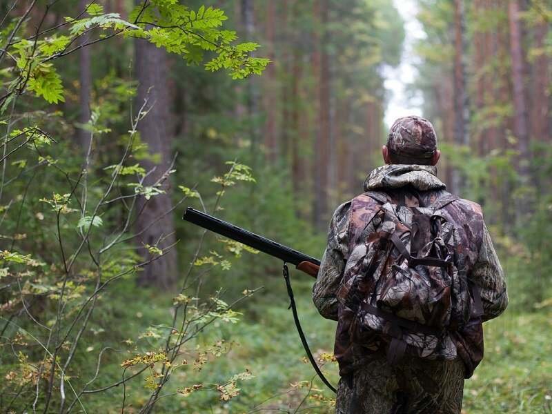 Более 160 фактов браконьерства было выявлено в Атырауской области 
