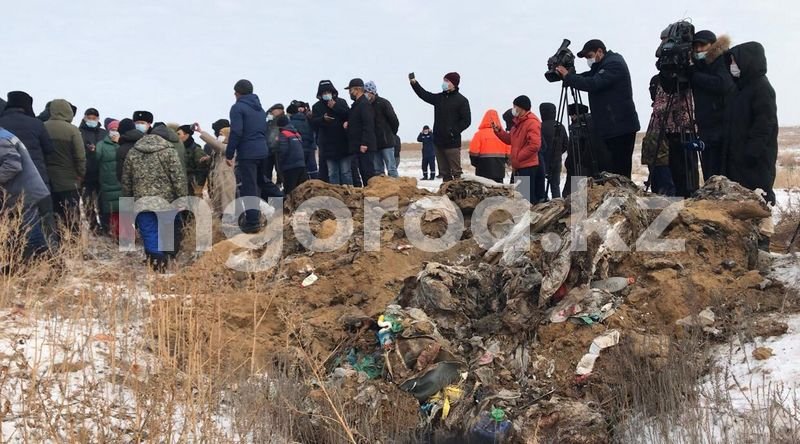 Скандал на свинокомплексе Актюбинской области: обнаружено около 60 тонн отходов