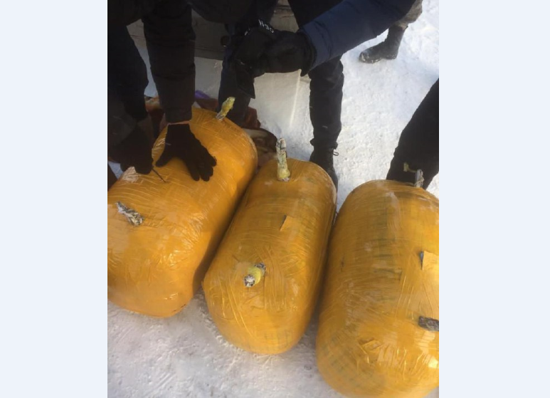 Более 139 кг наркотиков изъяли у жителя Павлодара