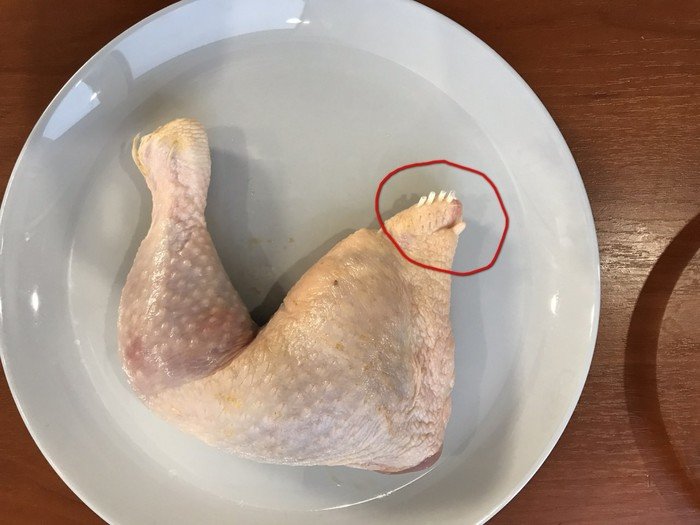 Вирус «запускают» в куриное мясо через пластиковые трубки