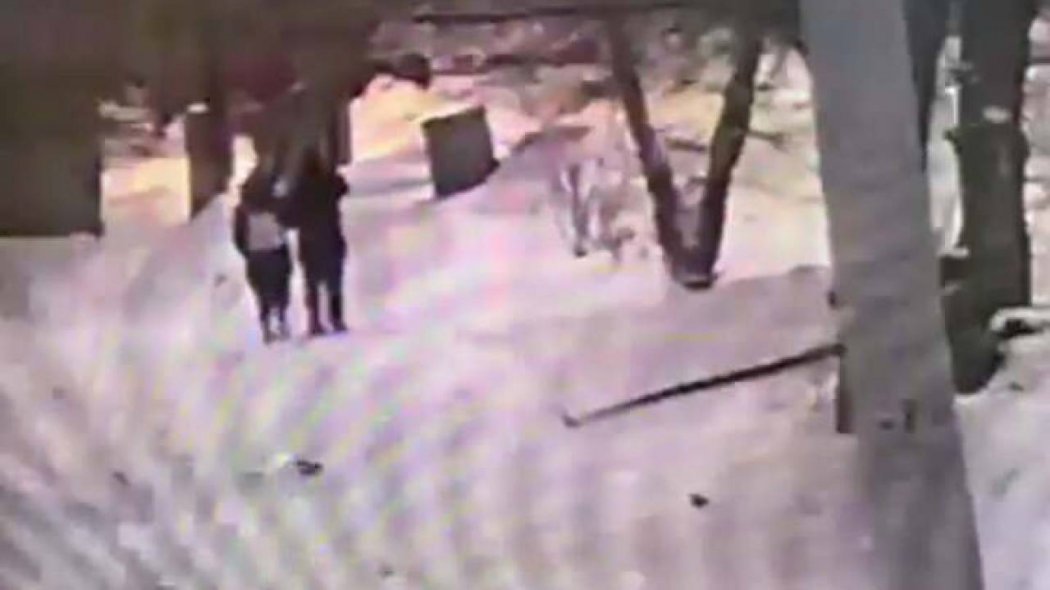 Дерзкое ограбление девушки попало на видео в Павлодаре