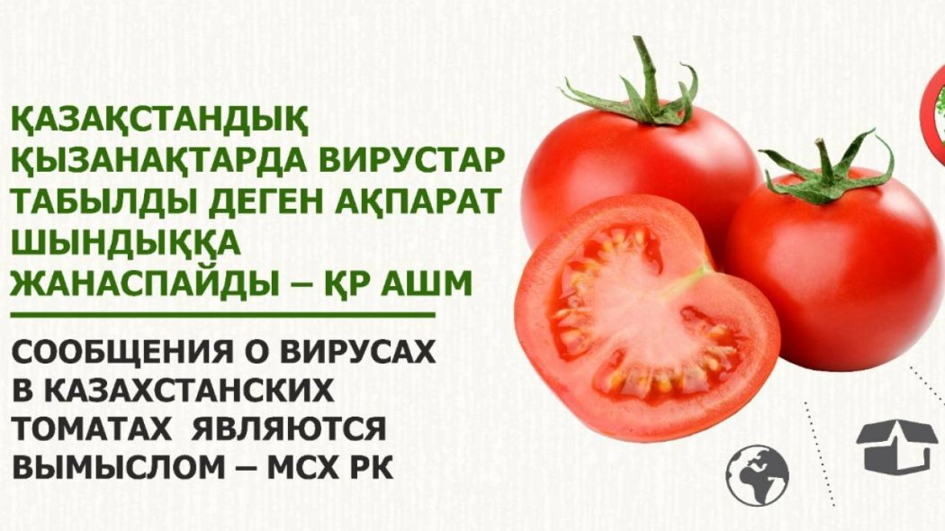 Минсельхоз РК ответило на заявление РФ о запрете на ввоз томатов