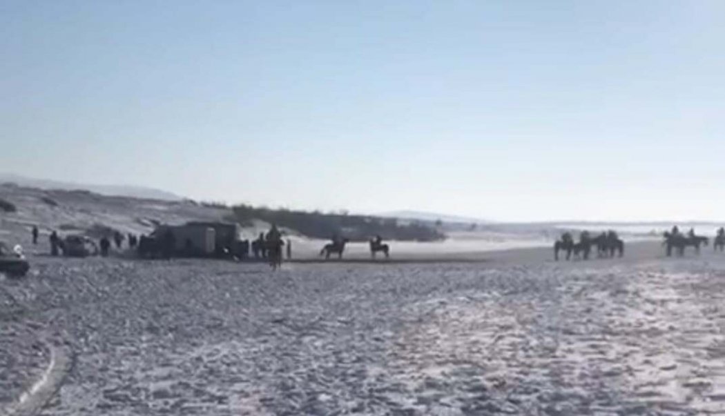 Кокпар на 150 человек устроил сельчанин в Туркестанской области