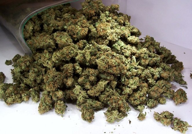25 килограммов марихуаны изъяли у жителя ВКО