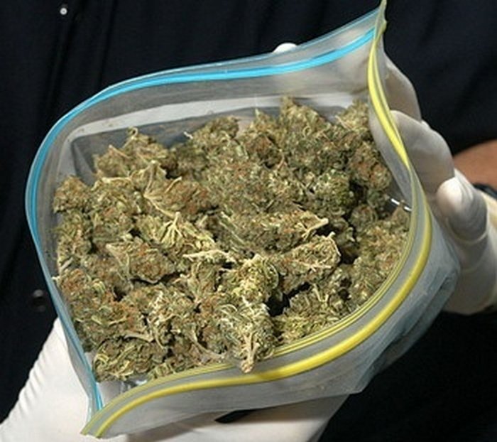 2,5 кг марихуаны изъяли у жителя Сатпаева