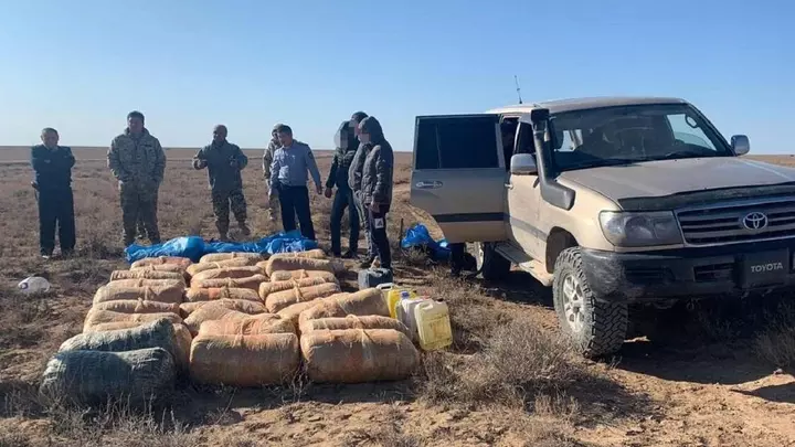 700 кг наркотиков пытались сбыть в Туркестанской области 