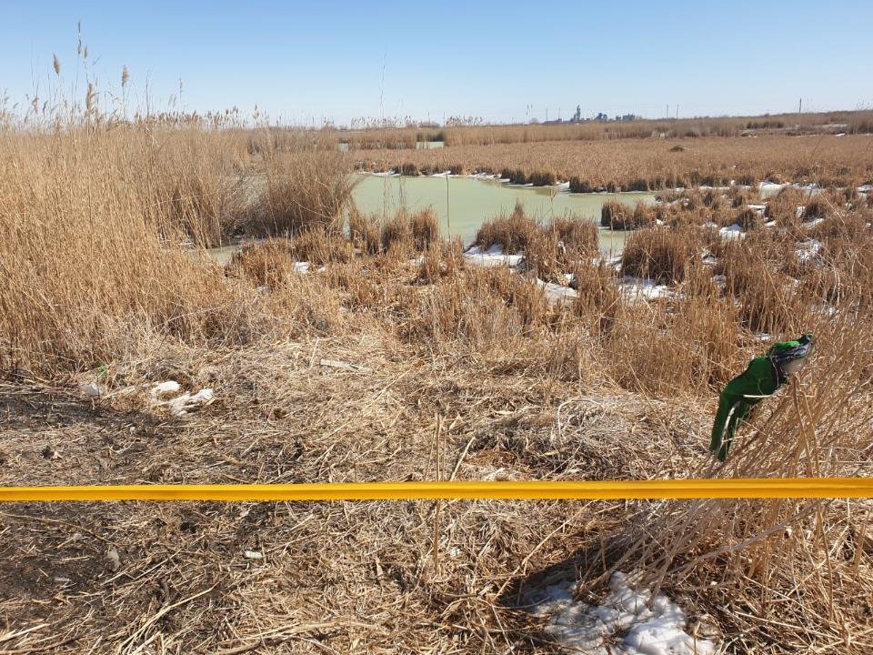 Двое детей провалились под лед и утонули в Кызылординской области
