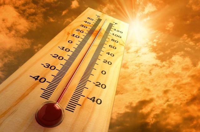Жара до 36 градусов ожидается в Казахстане