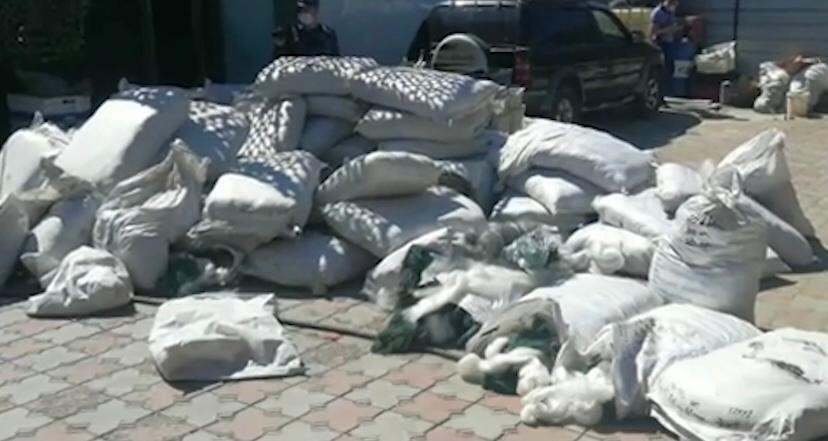 6 тонн рыбы изъяли у браконьеров в акватории озера Балхаш
