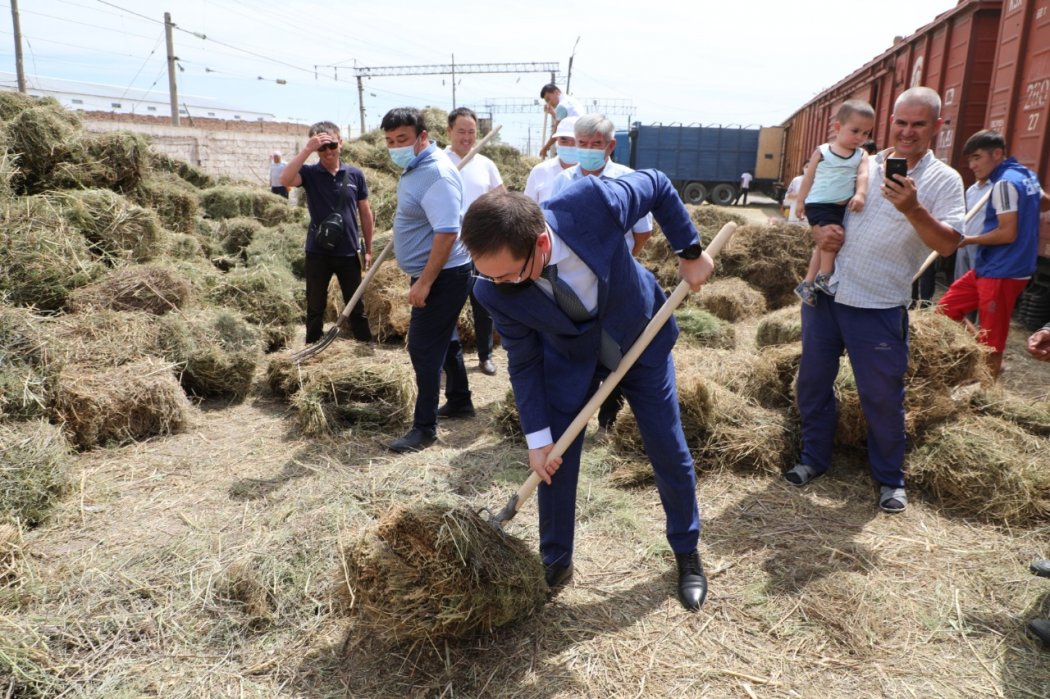 33 вагонов сена отправили из Туркестанской области фермерам западных регионов страны