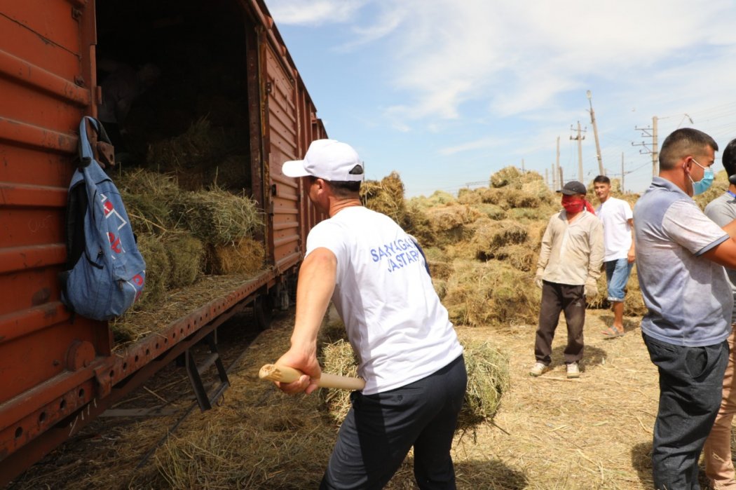 33 вагонов сена отправили из Туркестанской области фермерам западных регионов страны